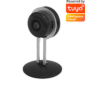 Видеокамера внутренняя Ritmix IPC-203 Tuya черный