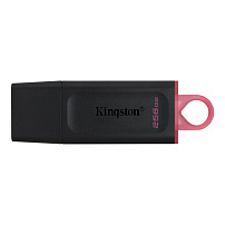 USB Флеш 256GB 3.0 Kingston DTX/256GB